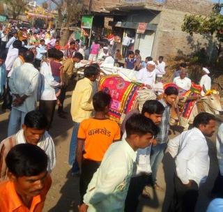 Grain collected by 11 bullocks is collected for Mahaprasad | महाप्रसादासाठी ११ बैलगाड्यांद्वारे केले जाते धान्य गोळा