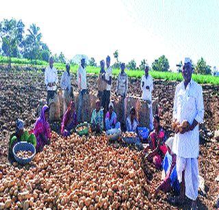 Trivial crops are worthless | तरकारी पिकांना कवडीमोल भाव Trivial crops are worthless | तरकारी पिकांना कवडीमोल भाव