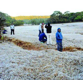 Snowflakes dug in Mahabaleshwar | महाबळेश्वरमध्ये हिमकणांची दुलई