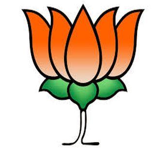 Nagpur, BJP success in Gondiya | नागपूर, गोंदियात भाजपाला यश