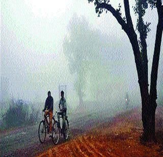 Falling temperature in Raigad district | रायगड जिल्ह्यातील तापमानात घसरण