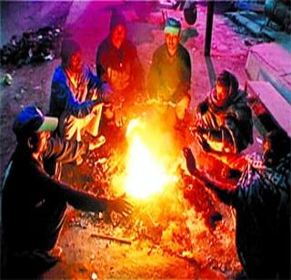 The cold climates continued | थंडीचा कडाका कायम The cold climates continued | थंडीचा कडाका कायम