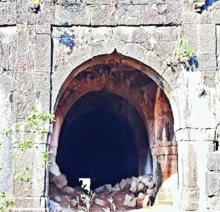 When will Raigad awake? | रायगडाला जाग येणार तरी कधी?