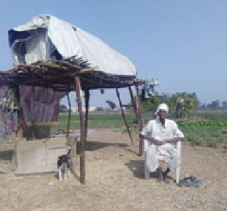 The fierce struggle in the cold of 80-year-old grandfather | ८० वर्षांच्या आजोबाचा कडाक्याच्या थंडीत जीवघेणा संघर्ष