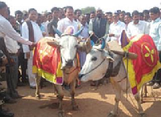 Farmer is the true pillar of the country! | शेतकरीच देशाचा खरा आधारस्तंभ!