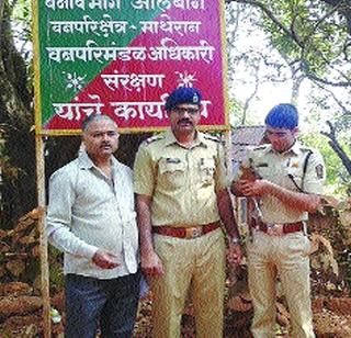 Piglets read by police | पोलिसांमुळे वाचले भेकराचे पिल्लू