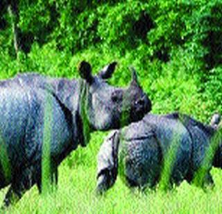 Dudhwa National Park | दुधवा राष्ट्रीय उद्यान