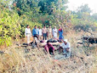 Nilgai hunting through electricity stream | वीज प्रवाहाद्वारे निलगाईची शिकार