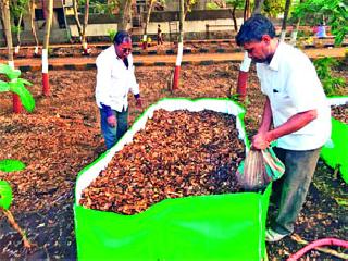 31 Production of vermicomial fertilizers in the parks | ३१ उद्यानांमध्ये गांडूळ खताची निर्मिती