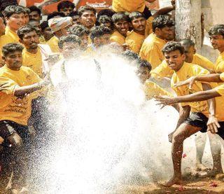 Why the bull is trending? | व्हाय द बुल इज ट्रेण्डिंग?