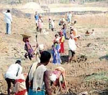 Rohihya Kamat, eight Talukas, Migharle | रोहयो कामात आठ तालुके माघारले Rohihya Kamat, eight Talukas, Migharle | रोहयो कामात आठ तालुके माघारले