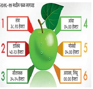 Happiness slows down! | फलोत्पादनाचा आलेख खालावला!