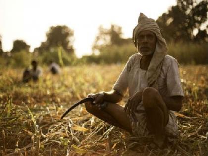 Provision for farmers in budget | बजेटमध्ये शेतकऱ्यांसाठीची तरतूद Provision for farmers in budget | बजेटमध्ये शेतकऱ्यांसाठीची तरतूद