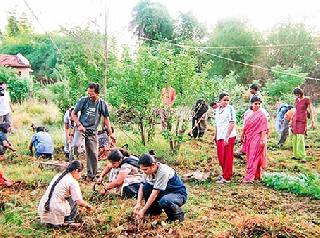 It was not the fear of the career when social service was decided? | समाजसेवा हेच करिअर असं ठरवलं तेव्हा भीती नाही वाटली? It was not the fear of the career when social service was decided? | समाजसेवा हेच करिअर असं ठरवलं तेव्हा भीती नाही वाटली?