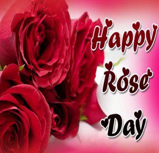 VALENTINE WEEK: Happy Rose Day | VALENTINE WEEK : हॅप्पी रोझ डे