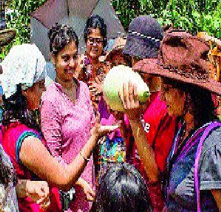 Yehova is a 'happy farm' in Konkan! | येवा कोकणात ‘आनंदाचे शेत’ असा!