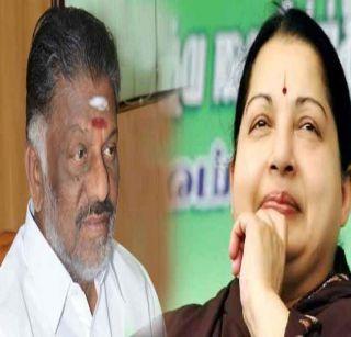 Paneerselvam's order to inquire about Jayalalitha's death | जयललितांच्या मृत्यूची चौकशी करण्याचे पनीरसेल्वम यांचे आदेश