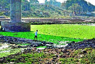 Encroachment on Godaghat | गोदाघाटावर अतिक्रमण