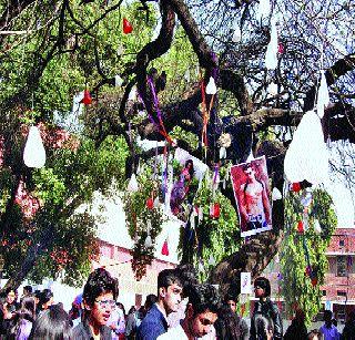 The girlfriends meet the tree worship | झाडाची पूजा केल्याने मिळते गर्लफे्रंड