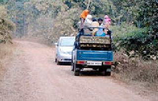 A total of 5,557 tourists jungle safari in a month | महिनाभरात ५,५५७ पर्यटकांची जंगल सफारी