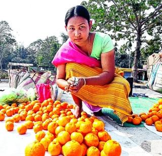 The National Tent Balance needs to be developed for survival | राष्ट्रीय तिरंदाजाला उपजीविकेसाठी विकावी लागतायत संत्री