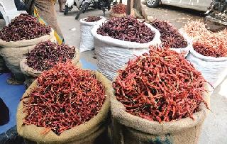 This time the chilli will need less pressure | यंदा मिरचीचा ठसका कमी लागणार This time the chilli will need less pressure | यंदा मिरचीचा ठसका कमी लागणार