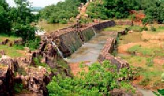 116.03 hectare forest land for Bhimalkas | ‘भिमलकसा’ला मिळणार ११६.०३ हेक्टर वनजमीन 116.03 hectare forest land for Bhimalkas | ‘भिमलकसा’ला मिळणार ११६.०३ हेक्टर वनजमीन