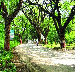 'Aarey' crisis will run away? | ‘आरे’वरील संकट टळणार?