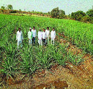 Farmer confusion about ring road | रिंगरोडबाबत शेतकरी संभ्रमात