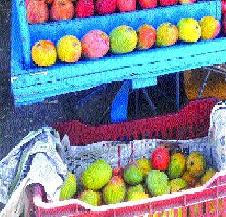 Mango in Chennai, Dahanu Market | डहाणूतील बाजारात चेन्नईतील आंबा