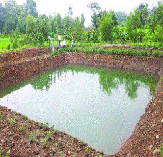 314 farmers of the district | जिल्ह्यात ३१४ शेततळी