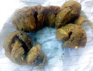 Larvae in government lodging | शासकीय विश्रामगृहातील अन्नात अळ्या Larvae in government lodging | शासकीय विश्रामगृहातील अन्नात अळ्या