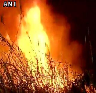 Fire in the forest near Rajghat in Delhi | दिल्लीतील राजघाटजवळील जंगलात आग