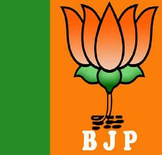 Wardha was BJP's favorite | वर्धा झाला भाजपामय