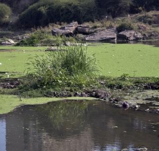 Concrete Foss: An ancient Saturn Kund in Godavari disappears! | काँक्रीटचा फास : गोदापात्रातील प्राचीन सतरा कुंड गायब !