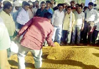 Buy FCI criteria by leaving the criteria | एफसीआयकडून निकष डावलून तुरीची खरेदी Buy FCI criteria by leaving the criteria | एफसीआयकडून निकष डावलून तुरीची खरेदी