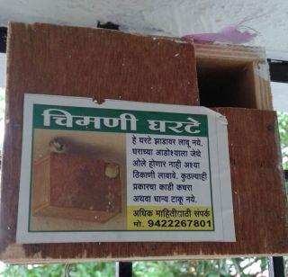 A tenancy of sparrow culture: Free distribution of 14 thousand nests | चिमणी संवर्धनाचे एक तप : 14 हजार घरट्यांचे मोफत वाटप