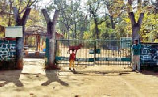 Unable to get access to the Tiger Reserve from Bucky Gate | व्याघ्र प्रकल्पाच्या बकी गेटमधून प्रवेशाचा मुहूर्त सापडेना