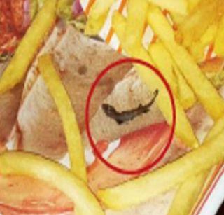 The pirate found in McDonald's 'French fries' | 'मॅकडोनल्ड'च्या 'फ्रेंच फ्राइज'मध्ये आढळली मेलेली पाल