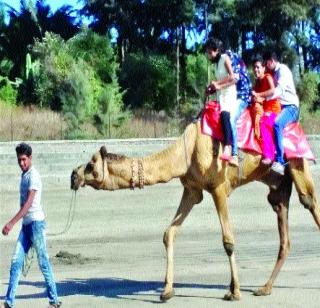 Dahanu, Bordi's tourism development, Khuntla | डहाणू, बोर्डीचा पर्यटन विकास खुंटला