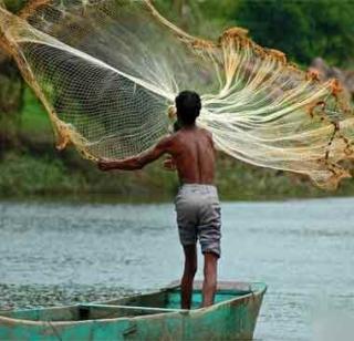 Through the Nil Kranti Yojana, fish production will increase | नीलक्रांती योजनेतून मत्स्योत्पादन वाढविणार Through the Nil Kranti Yojana, fish production will increase | नीलक्रांती योजनेतून मत्स्योत्पादन वाढविणार