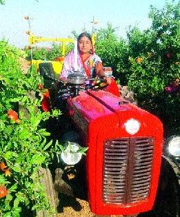 Ushatarik tractor in pomegranate garden | डाळिंबाच्या बागेत उषातार्इंचा ट्रॅक्टर Ushatarik tractor in pomegranate garden | डाळिंबाच्या बागेत उषातार्इंचा ट्रॅक्टर