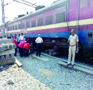 Seven buffers killed after being trapped under Jaipur Express | जयपूर एक्सप्रेसखाली सापडून सात म्हशी ठार