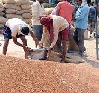 Wait a week, wait for the tire count | तूर मोजणीसाठी आठवडाभर प्रतीक्षा