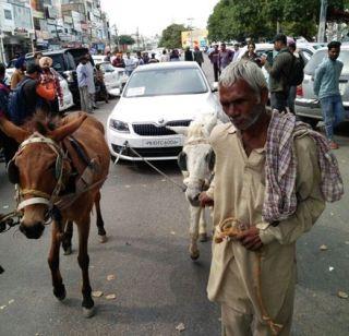 A car of 25 lakhs was thrown into the donkeys | गाढवांना ओढायला लावली 25 लाखांची कार