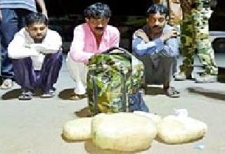 Five kg of ganja seized | पाच किलो गांजा जप्त