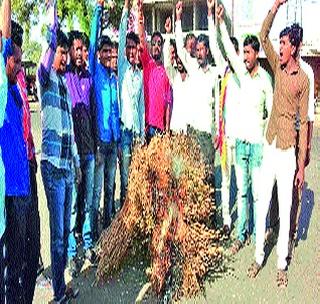 Koti Holi 'in Motali! | मोताळय़ात झाली ‘तुरीची होळी’! Koti Holi 'in Motali! | मोताळय़ात झाली ‘तुरीची होळी’!