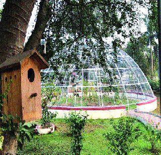 Chaytai's house in the wax house finally got home | मेणाच्या घरातील चिऊताईला अखेर मिळाले हक्काचे घर
