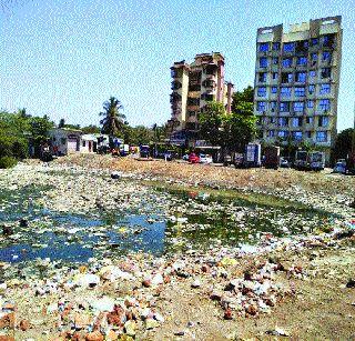 The pool's trash? | तलाव की कचराकुंडी?