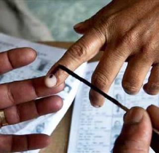 Use paper trail and bio-metric method in elections | निवडणुकीत पेपर ट्रेल व बायो-मेट्रिक पद्धत वापरा